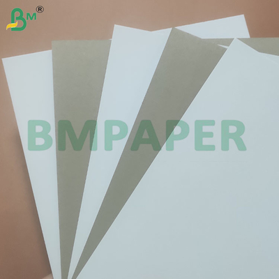 300 gm Recyclingzellstoff 700*1000 mm Beschichtete weißgraue Rückpapierblätter