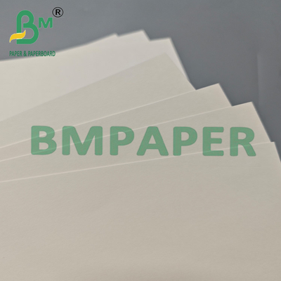 210gm Druckbare PLA-beschichtete Kraft-Cupstock-Papierrolle für Tee