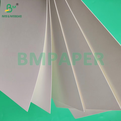 230 gm 260 gm Einseitiges PE-beschichtetes Becherpapier zur Herstellung von Becherpapier