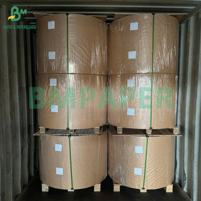 230 gm 260 gm Einseitiges PE-beschichtetes Becherpapier zur Herstellung von Becherpapier