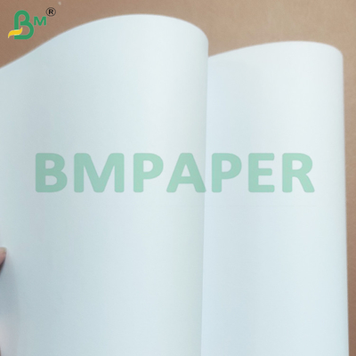 250 gm Holzfreie Papierrollen mit hoher Weißfarbe für Offsetdruck