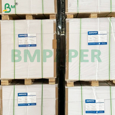 250 gm Holzfreie Papierrollen mit hoher Weißfarbe für Offsetdruck