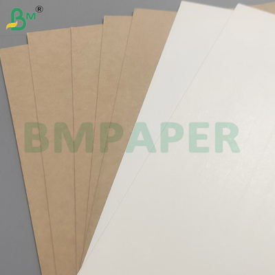 Lebensmittelsicherheit 200+10GSM PET-beschichtete Papierblätter für Lebensmittelbehälter