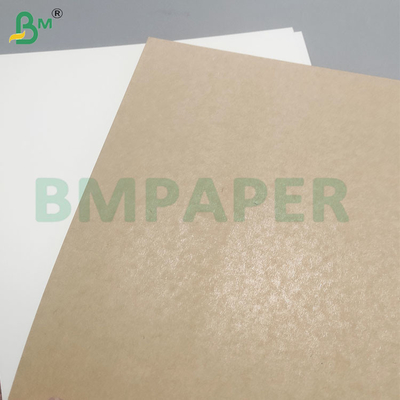 Lebensmittelsicherheit 200+10GSM PET-beschichtete Papierblätter für Lebensmittelbehälter