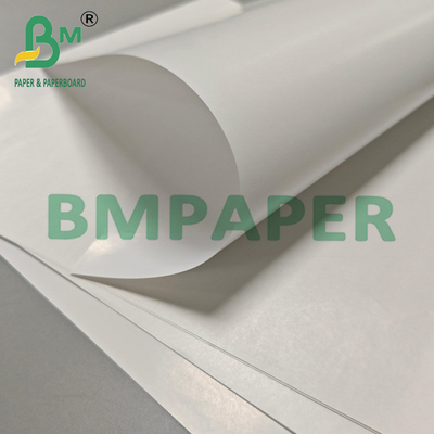 70 g Glatte Oberfläche Lebensmittelqualität Einseitig glänzendes Etikettenpapier 86 cm Breite