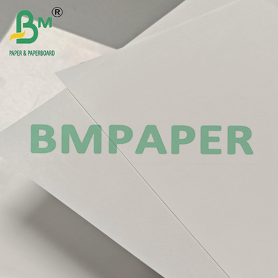 70 g Glatte Oberfläche Lebensmittelqualität Einseitig glänzendes Etikettenpapier 86 cm Breite