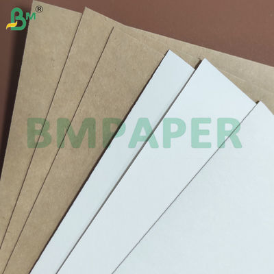 240 g/m² + 10 g/m² einseitig PE-beschichtetes, auslaufsicheres Becherpapier