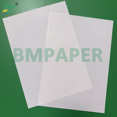 65 - 80gm Weißpapier mit hoher Feuchtigkeitsfestigkeit für Getränkeverpackungsbehälter Einseitig beschichtetes Bieretikettpapier