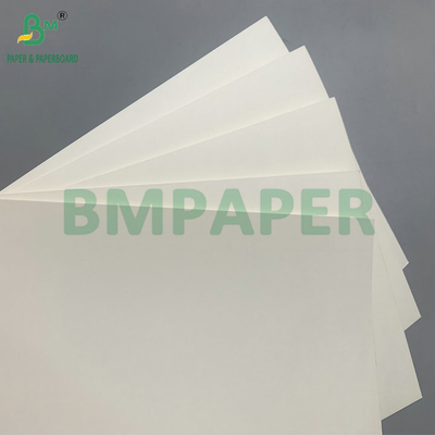 18g PE-beschichtetes, wasserdichtes 210 g/m² Becherpapier zur Herstellung von Kaffeebechern