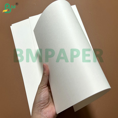 240g + 15PE ölbeständiges Lebensmittelbehälterpapier zur Herstellung von Pappschalen 61 x 86cm