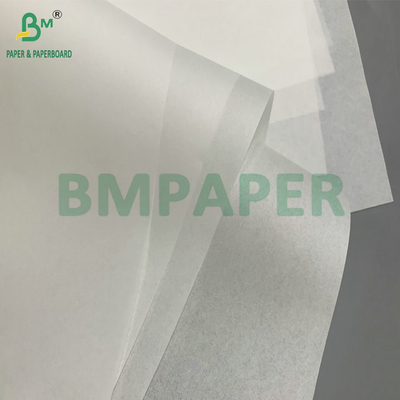35 g/m² 40 g/m² Fettbeständiges, hitzebeständiges, leicht ablösbares Papier für Cupcake-Formen