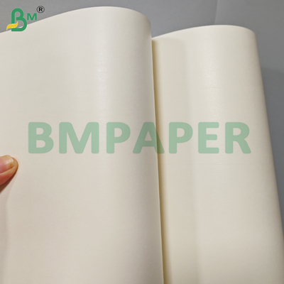 230+15 gm Einseitig PE beschichtet undichtes Becherpapier