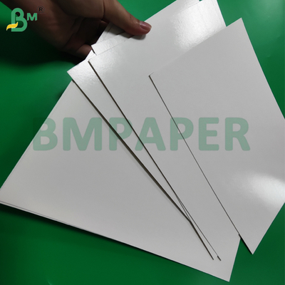 1 / S 295g + 15g PE beschichtetes Tiefkühlpapier für Garnelenverpackungen Gefrierschrank - sicher