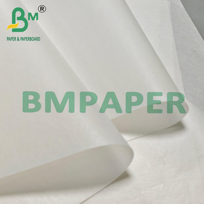 Silikonbeschichtetes Gemüsepargamentpapier zur Verpackung 24" x 36"