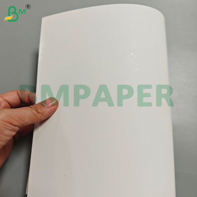 250 g/m² einseitig beschichteter Blister-Karton weiß für Produktverpackung