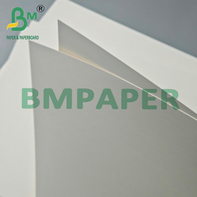 230 g/m² + 15 g gebleichtes PE-beschichtetes Kraftpapier Rolle für Becherpapier