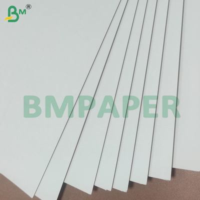 190+10gsm PE-beschichtete Becherpapierrollen für Papierbecher und -schalen