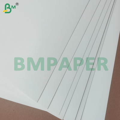 190+10gsm PE-beschichtete Becherpapierrollen für Papierbecher und -schalen