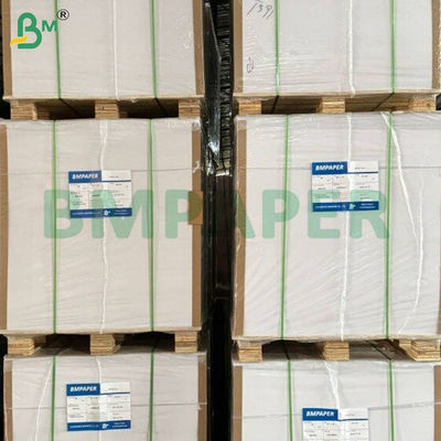 200 gm + 10 gm Hitzebeständige PE-beschichtete Becher-Blockpapierblätter