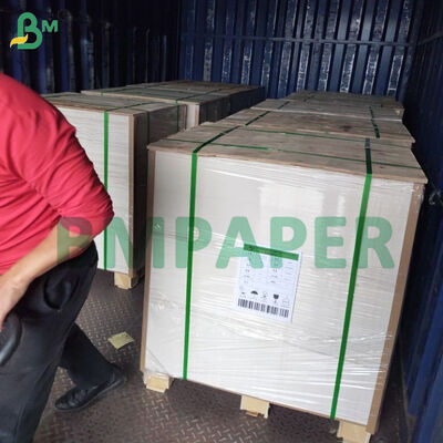 Unbeschichtete Bierdeckelpappe 390 g/m² 455 x 650 mm für Tischsets, Tortenunterlagen