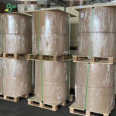 Wasserdichtes, sonnenbeständiges 54g 56g Anzuchtpapier für Obst