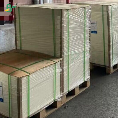 330g Hochdichtes, beidseitig beschichtetes, bedruckbares Karteikartenpapier