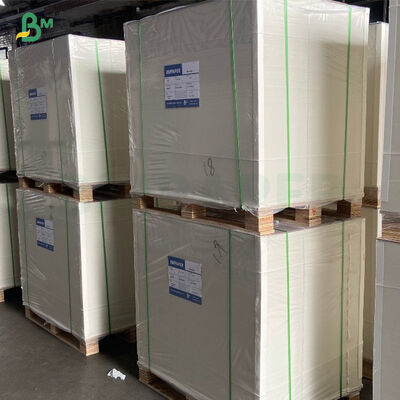 Food Grade White Kraft Cup Stock Paper For Ice - cream Cup
