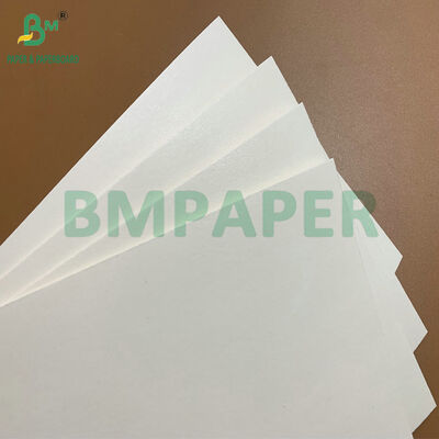0,6mm 0,7mm 420*620mm Hochabsorbierendes Untersetzerpapier zur Herstellung von Getränkeuntersetzern