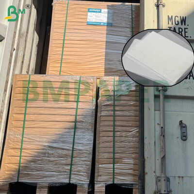 Kaffeefilterpapier mit Lebensmittelqualität, mit großen Größen und doppelter Grammage für die Heim- und kommerzielle Brauerei