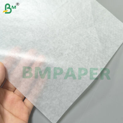 Kuchenpfanne Liner Pergament 21gsm Weiß und Farbig Halbtransparenz