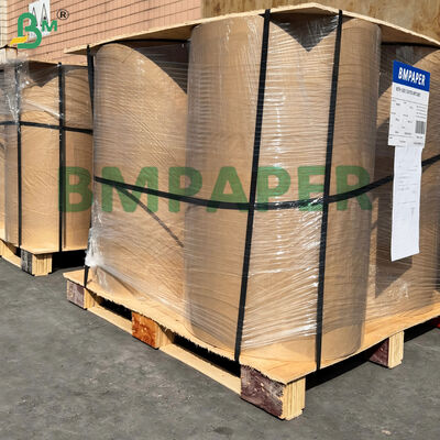 Kuchenpfanne Liner Pergament 21gsm Weiß und Farbig Halbtransparenz