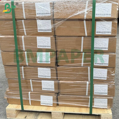 A0 Großformat CAD Plotterpapierrollen 80 g/m² | 914 mm × 50 m, 5 Rollen pro Karton