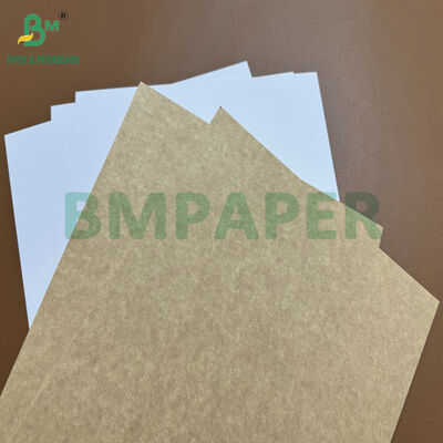 Food Grade Coated 365gsm Kraft Back Board (CKB) for Frozen Food Boxes & Bakery Packaging