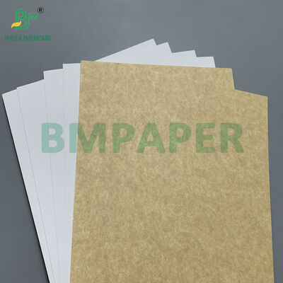 Food Grade Coated 365gsm Kraft Back Board (CKB) for Frozen Food Boxes & Bakery Packaging