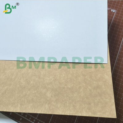 GC4 Beschichtete Kraft-Back-Papierplatte Lebensmittel-Grad für Kuchen-Papier 250g 300g
