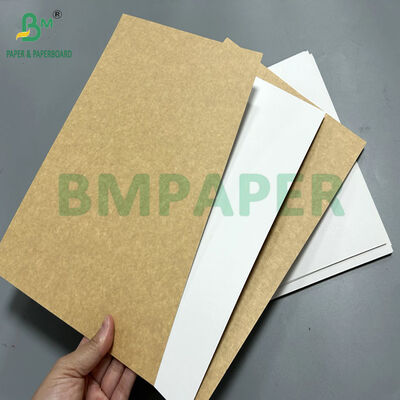 350gsm 365gsm Food-grade White Top Kraft Liner For Food Outer Package 70x100cm