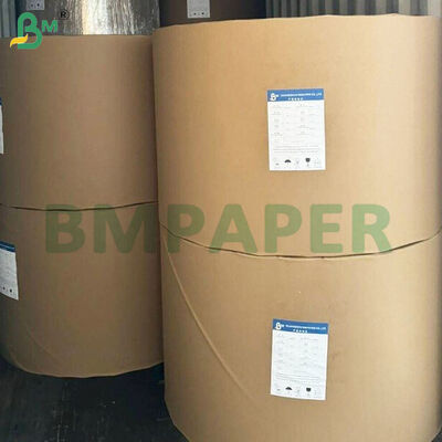 40gsm Grease-proof Food Grade Paper Rolls for Hamburger Packing