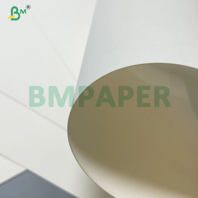 Hochölbeständiges 20 g/m² 24 g/m² PE-beschichtetes Nudelsuppenpapier für heiße Suppen