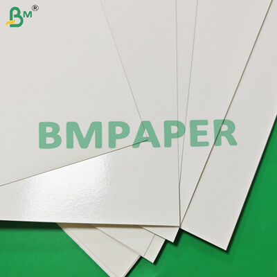 Food Safe 170 - 320gsm + 15g PE Cupstock Paper For Hot Drinks Leak Proof  870mm