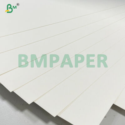 Water-based Coating Cupstock Paper 170-320gsm Extruded With PE15 MIC