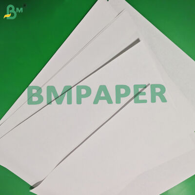 70 gms Holzfreies Offsetband Rückpapier 250 mm 300 mm Gute Zugfestigkeit