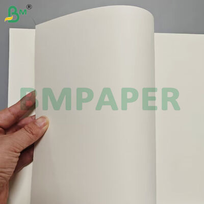 175 gm+10 gm PET-Beschichtung Hitzebeständige Lebensmittelkartonpapierblätter