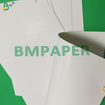 275gsm 325gsm GC2 Folding Box Board For Bakery Packaging 760 x 1020mm OBA Free