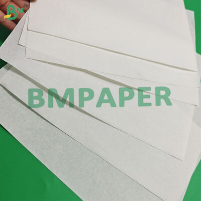 50gsm White Coffee Filter Paper Roll For FETCO F002 Eco - Friendly 350mm