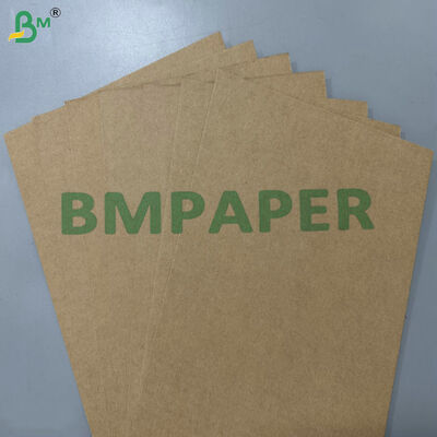 100% lebensmittelechte, fettbeständige, kompostierbare Rohmaterial 200 g/m² 300 g/m² Zuckerrohr-Bagasse-Basispapier für Einweggeschirr