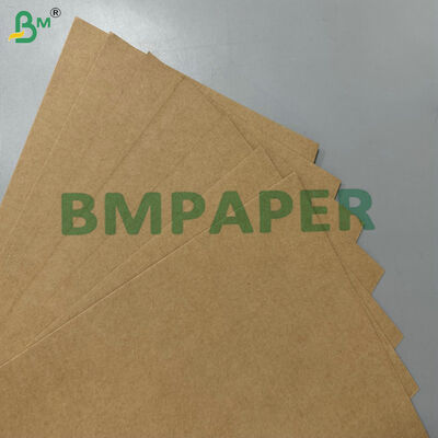 100% lebensmittelechte, fettbeständige, kompostierbare Rohmaterial 200 g/m² 300 g/m² Zuckerrohr-Bagasse-Basispapier für Einweggeschirr