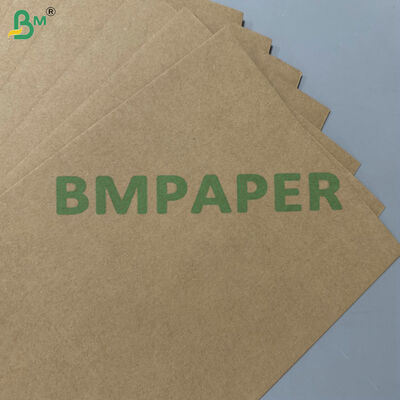 100% lebensmittelechte, fettbeständige, kompostierbare Rohmaterial 200 g/m² 300 g/m² Zuckerrohr-Bagasse-Basispapier für Einweggeschirr