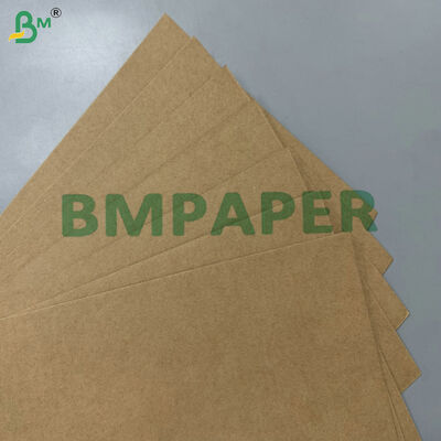 100% lebensmittelechte, fettbeständige, kompostierbare Rohmaterial 200 g/m² 300 g/m² Zuckerrohr-Bagasse-Basispapier für Einweggeschirr