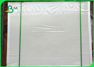 300gm weiße PE-beschichtete Elfenbeinplatte zur Herstellung von Lebensmittelboxen 50 * 70cm