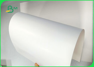 Breite 700 × 1000 mm Gute Glatzheit 270 gm 300 gm 350 gm Elfenbeinkarton für Verpackungen